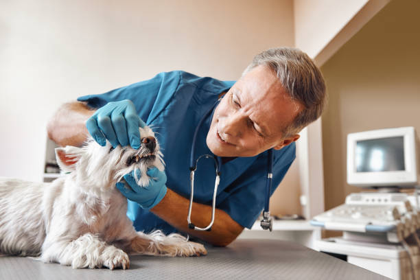 Best Emergency Wisdom Teeth Removal in Kendallville, IN